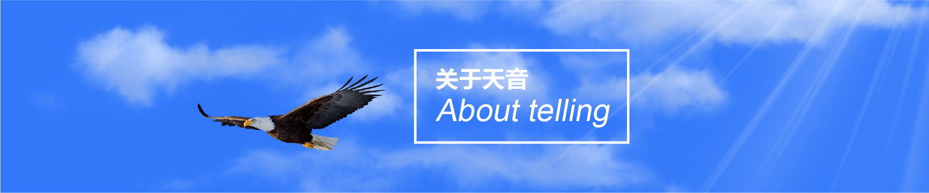 企業榮譽